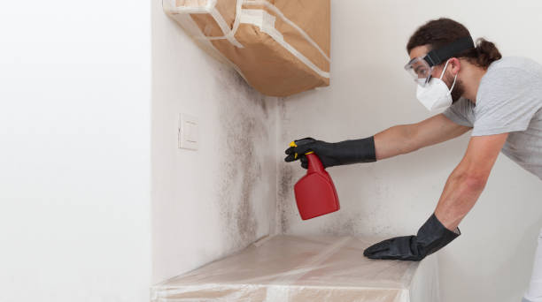 Professional Black Mold Removal technician working in Cedar Grove, NC