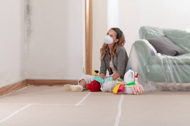 Reliable Mold Remediation contractor in Cedar Grove, NC by Cheap Mold Removal